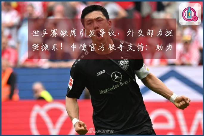 世乒赛缺席引发争议，外交部力挺樊振东！中德官方联手支持：助力巨大